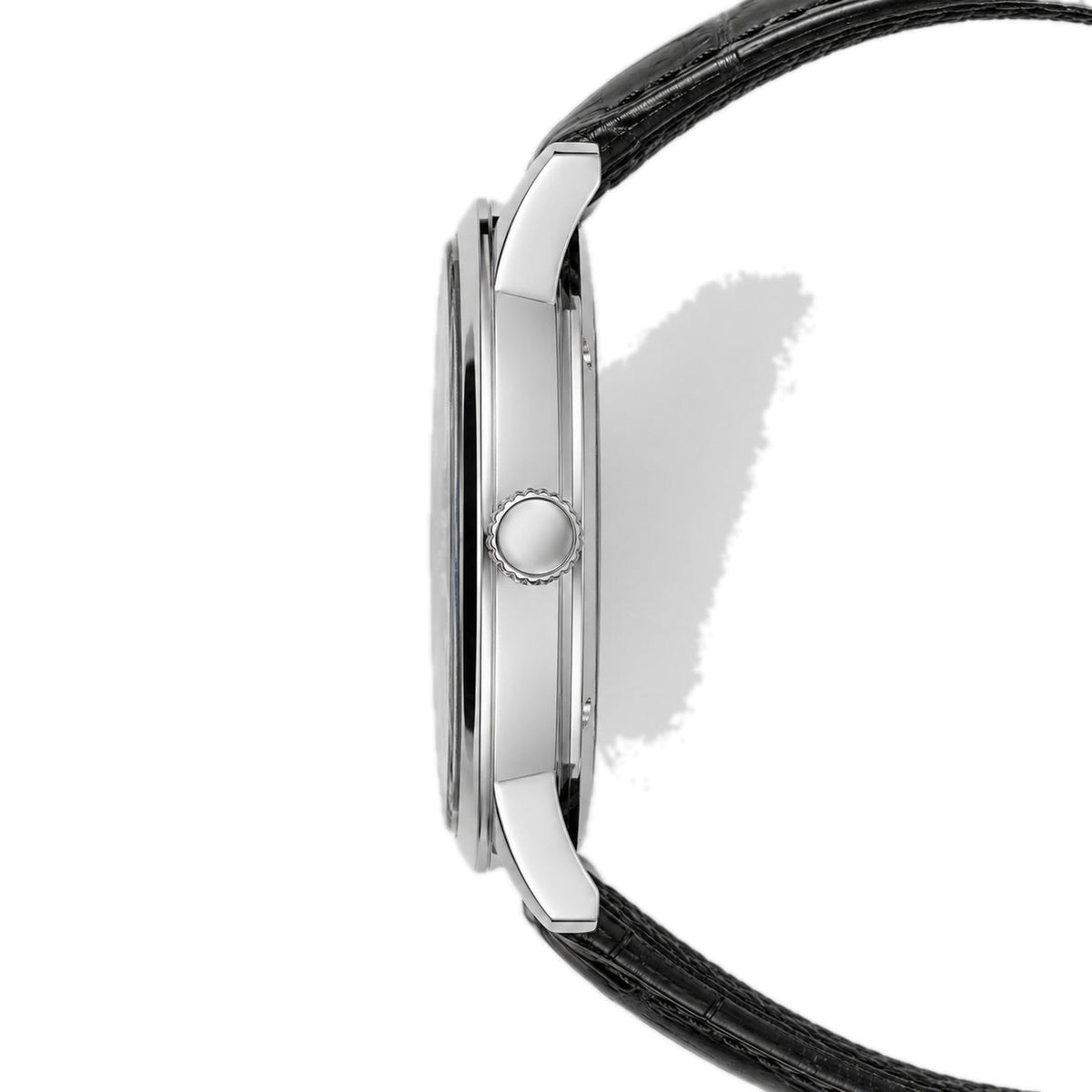 Cavallier® Regent Albus